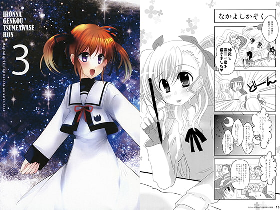 IRONNA GENKOU TSUMEAWASEHON 3