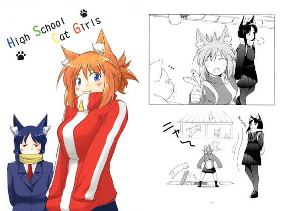 High School Cat Girls