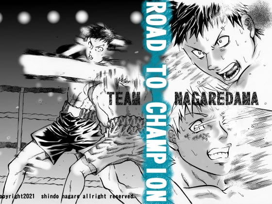 シュンとヒカル特別編~ROAD TO CHAMPION~