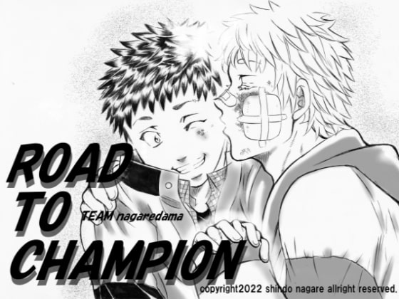 : シュンとヒカル特別編~ROAD TO CHAMPION~(後編)